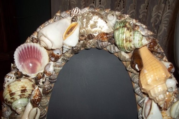chalk from sea shells Thrill your walls now with a stunning seashells print from the world's largest art gallery indigo sea shells albert koetsier art starfish and shells on the . chalk from sea shells Thrill your walls now with a stunning seashells print from the world's largest art gallery indigo sea shells albert koetsier art starfish and shells on the .