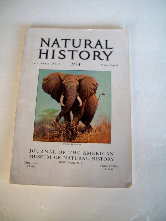 Natural History Magazine 1934 Vintage Vol XXXIV by Lionfishvintage