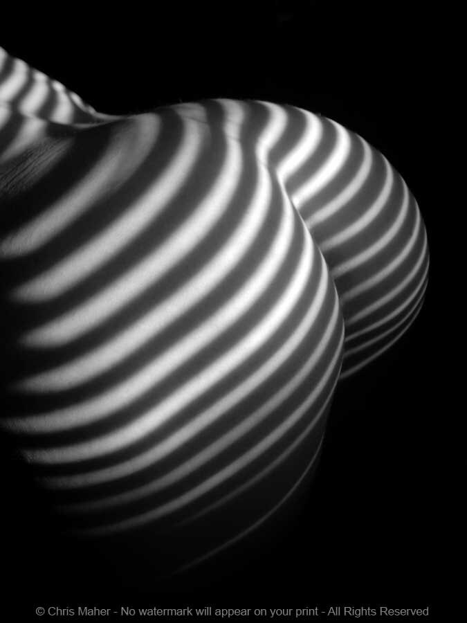 0028-KF Black and White Sensual Curves Zebra Woman Striped 