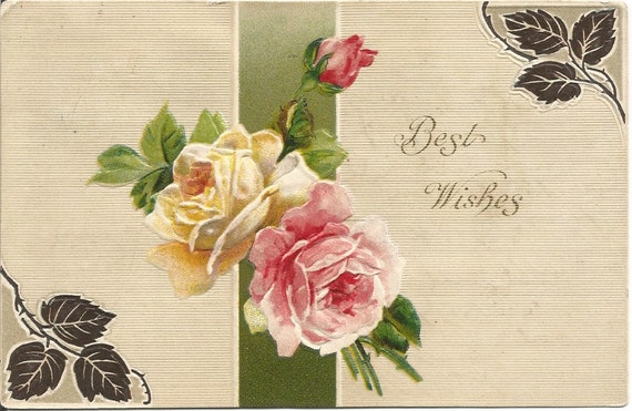 Pink Rose White Rose Pink Rose Bud Best Wishes Vintage Postcards 1910 Ephemera