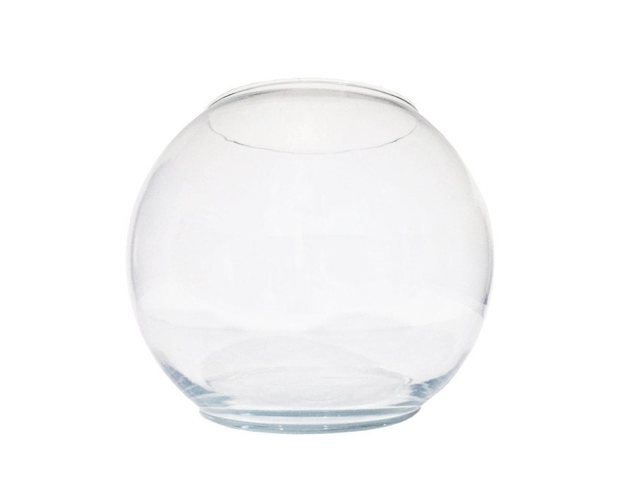 Medium Glass Terrarium Bowl / Clear Transparent by ChapsAndRascal