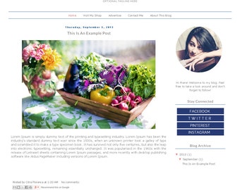 Premade Blogger Template - Simple Clean Confetti Blog Design - Blog Layout - Blog Theme - Blogspot Template