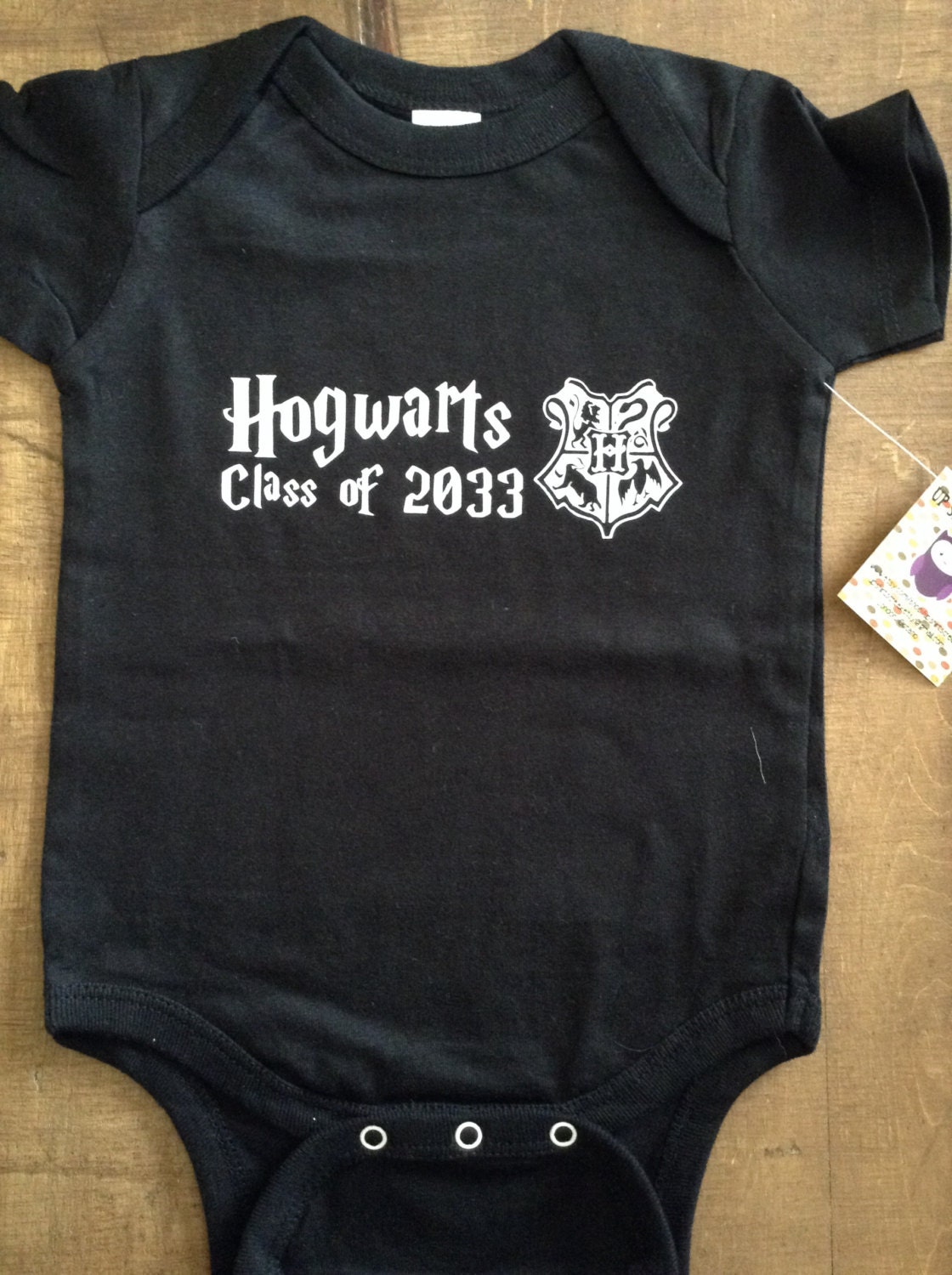 Harry Potter Inspired Hogwarts Class of 2033