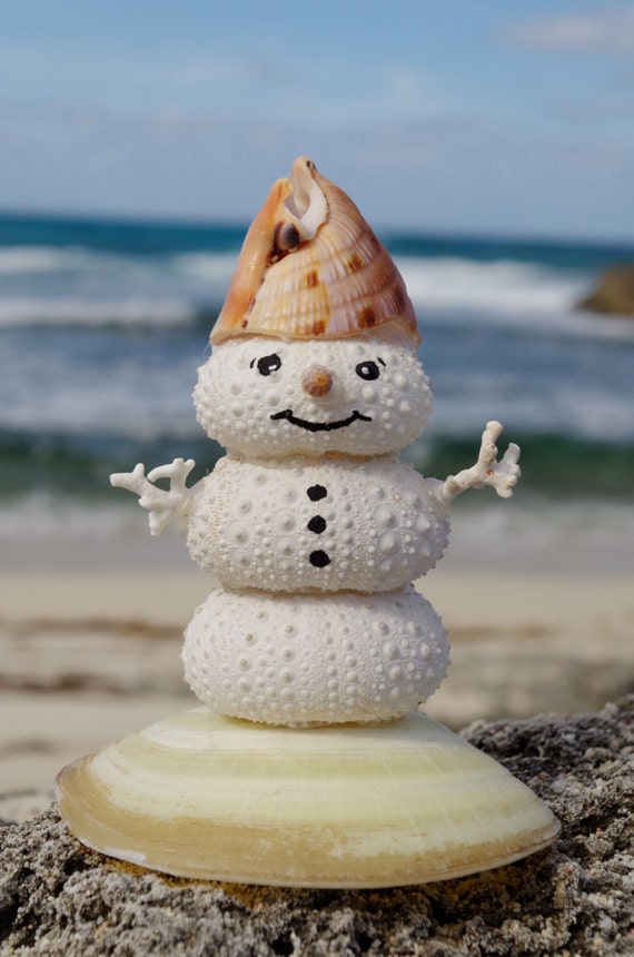 Giant Smiling Sea Urchin Snowman with Sea Shell Hat