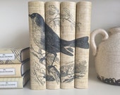Decorative books - Bird Book Cover - Neutral Color Books - Book Decor - Custom Book Covers - Custom Book Jackets - Bookshelf Decor - Books