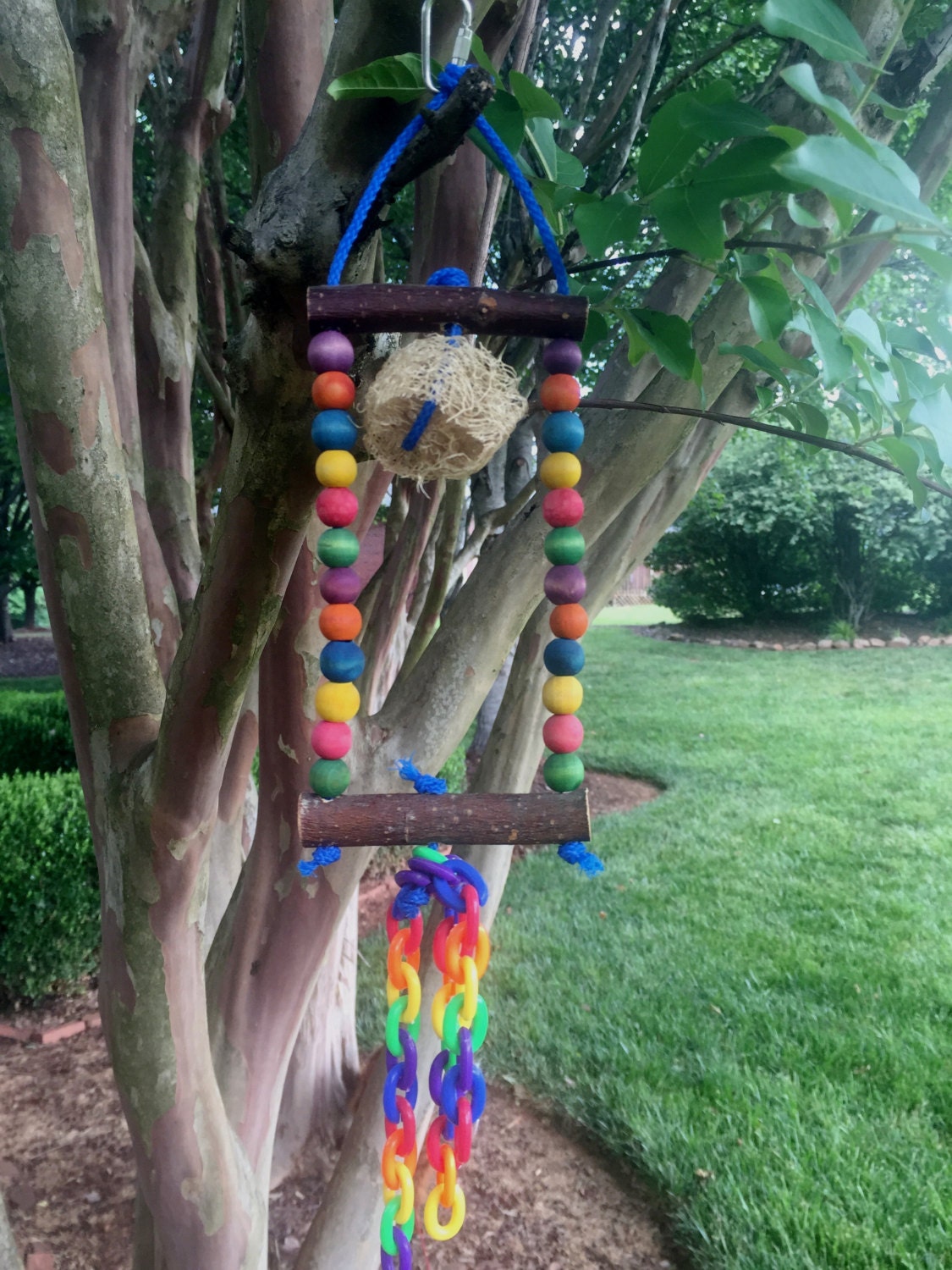 Small Bird Swing Small Parrot Swing Small Bird Toy by PetPawTeek