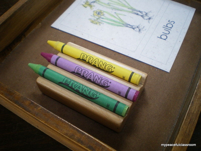 Ecofriendly Soy Crayons Box of 24 by Prang