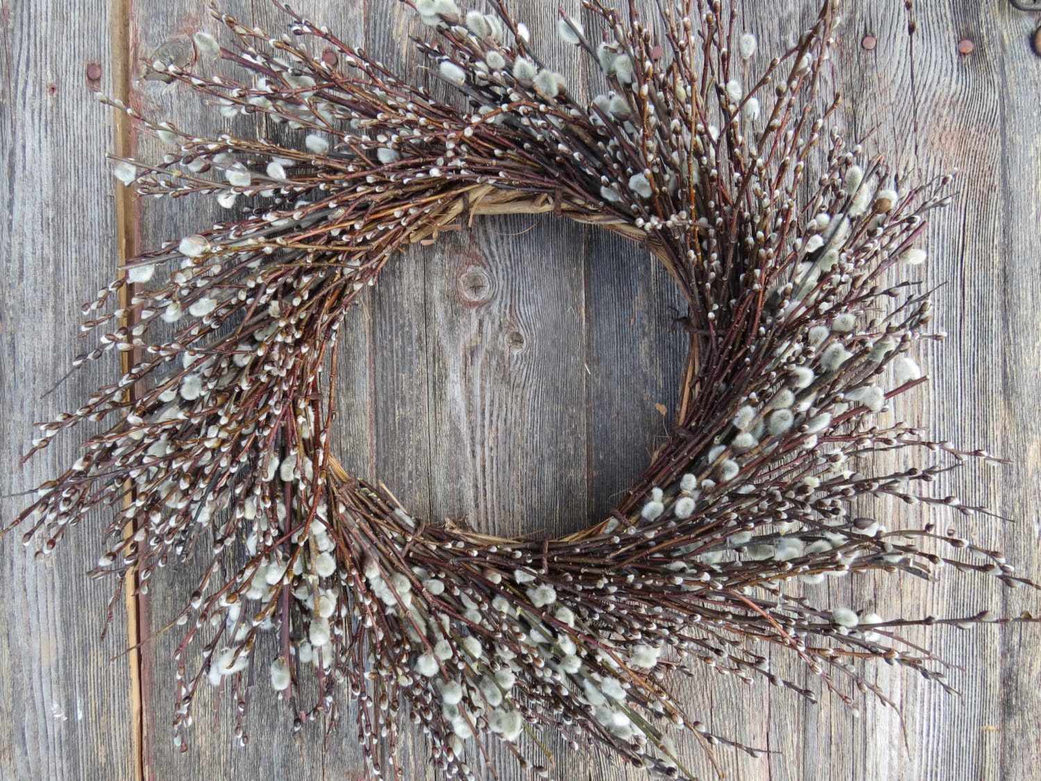 Pussy Willow Wreath 38