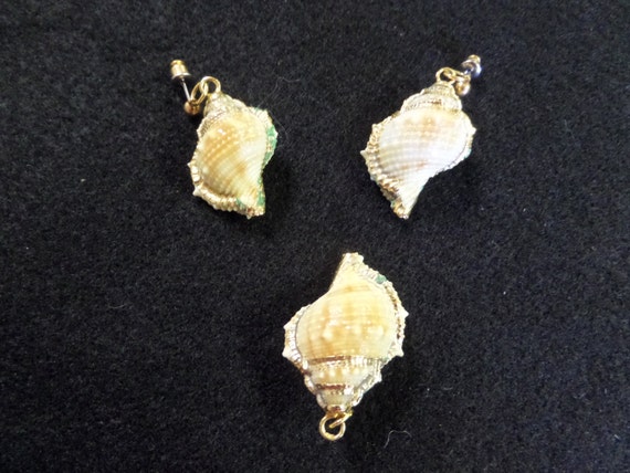 Unique Seashell Jewelry set Dipped in Gold by EducationalBiofacts