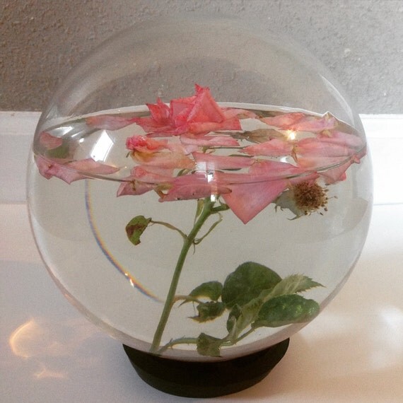 Vintage Globe Water Rose Flower Aquarium