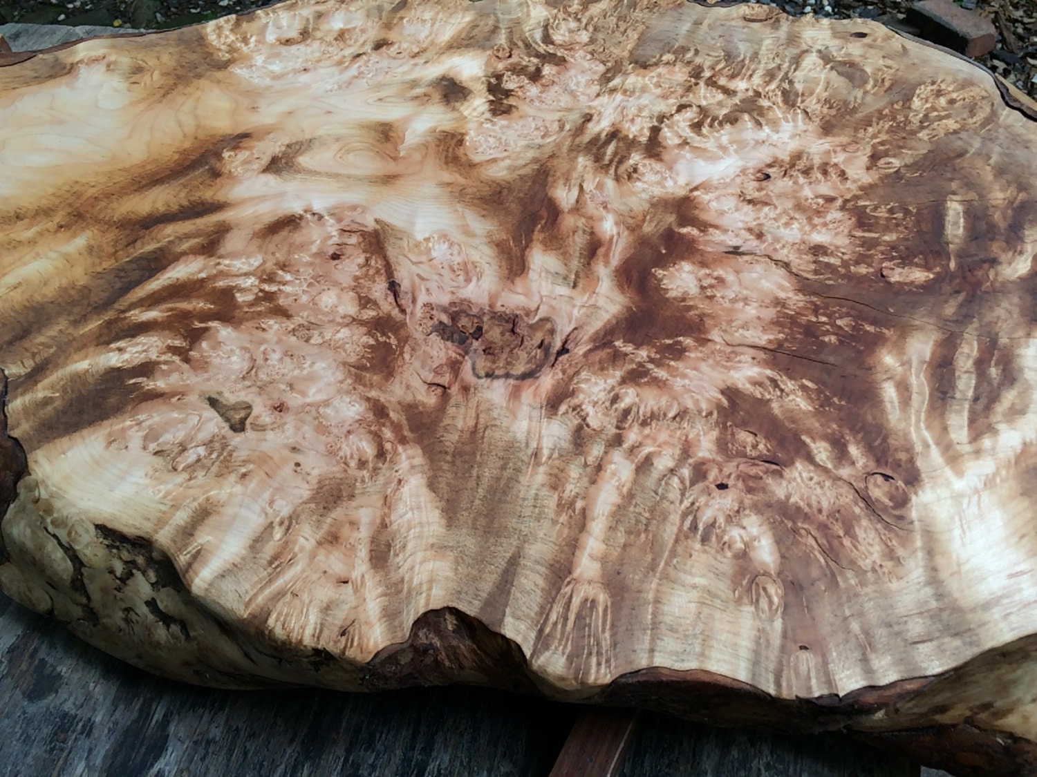 burled maple wood