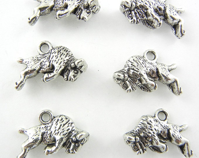Set of 6 Pewter Double-sided Buffalo Charms
