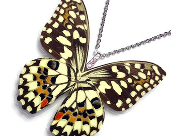Real Butterfly Wing Necklace / Pendant (WHOLE Papilio Demoleus Butterfly - W119)