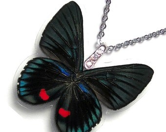 Real Butterfly Wing Necklace / Pendant (WHOLE Necyria Duellono Butterfly - W110)