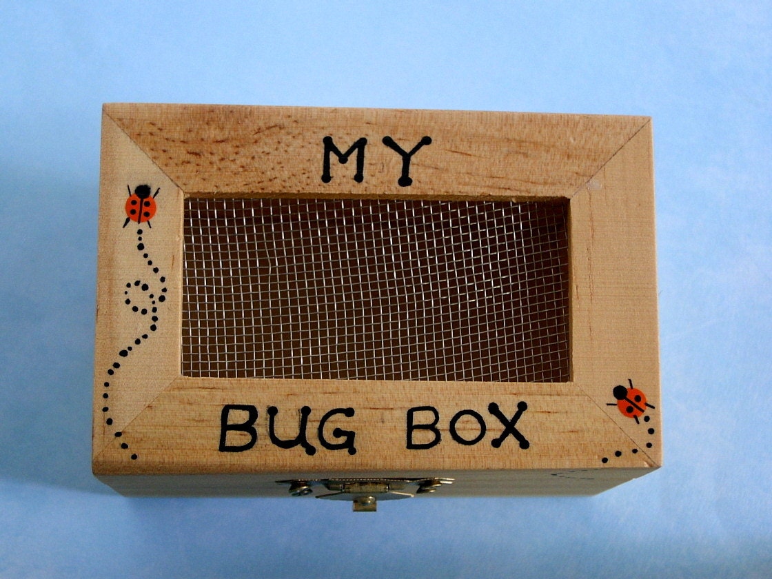 DIY science kit-My bug box-bug collecting-camping-outdoor car