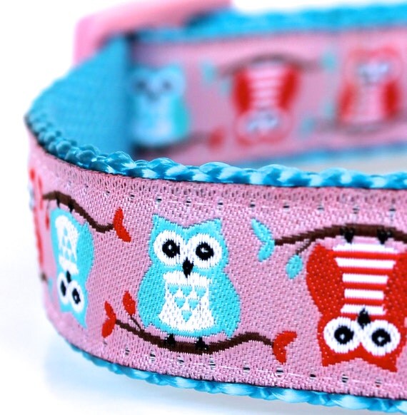 Owls on Branch Dog Collar Adjustable Pet Collar Pink Aqua