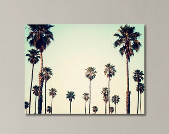 Palm Tree Canvas, California Wall Art, Palm Tree Photography, Canvas Gallery Wrap, Ombre Sea Green "California Love"
