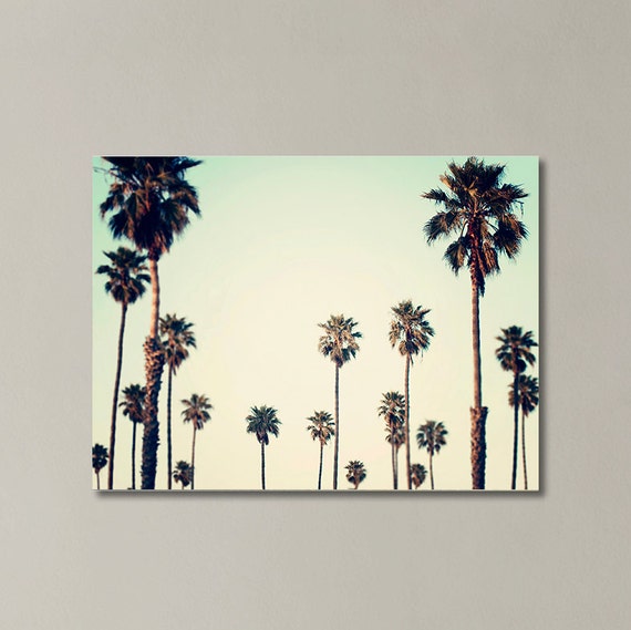 Palm Tree  Canvas California Wall  Art  Palm Tree  Photography