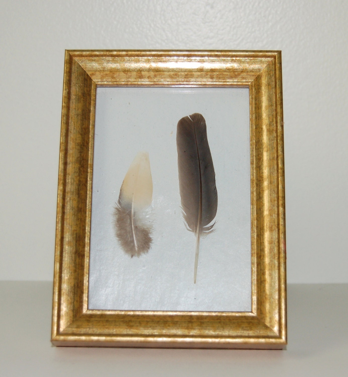 Framed Bird Feathers White & Gold