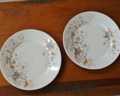 Antique Porcelain Dessert or Salad Plate Pair, Charming Floral Design, Blue, Goldenrod