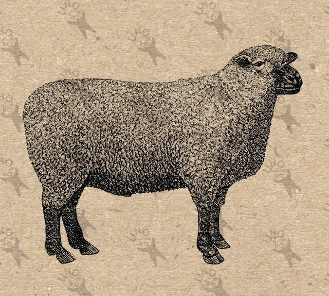 Vintage Sheep Lamb Farm Instant Download Digital printable