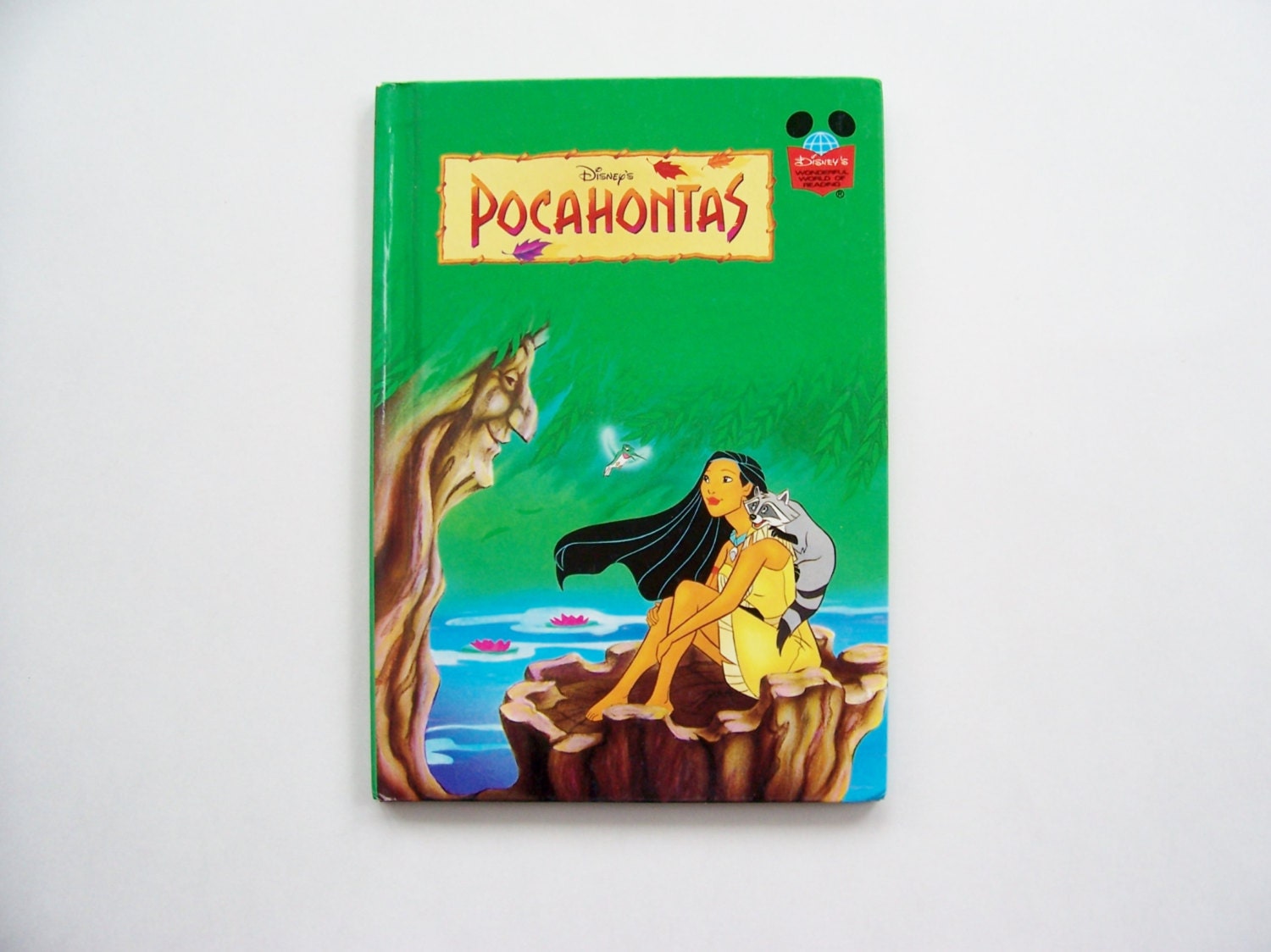 Disney's Pocahontas Book from Disney's Wonderful World