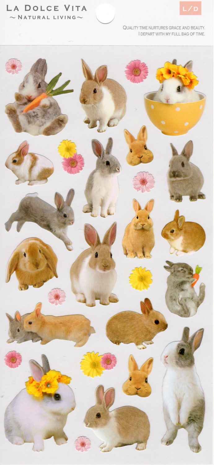 Japan Mind Wave Kawaii BUNNY RABBITS sticker sheet/La Dolce