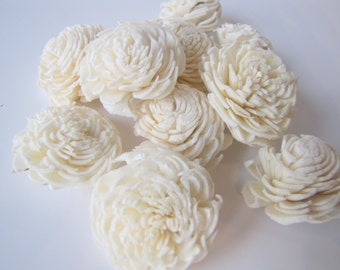 Ivory Mini Chorki Sola Flowers - Set of 15, Cream Sola Flowers, Mini Chorki Sola Flowers, Sola Flower, Wood Sola Flowers, Craft Flowers