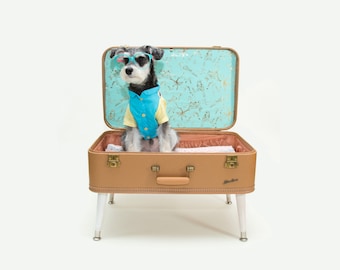 FREE SHIPPING - Upcycled Vintage Suitcase Pet Bed for a Dog or Cat that is also a Side Table or Coffee Table
