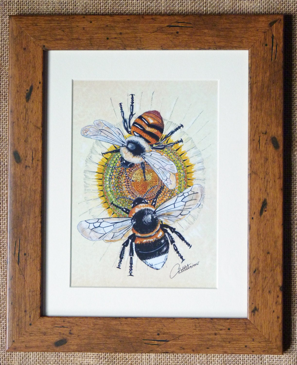 Bee Picture Bee Print Framed Bees Bumble Bee and Carder Bee