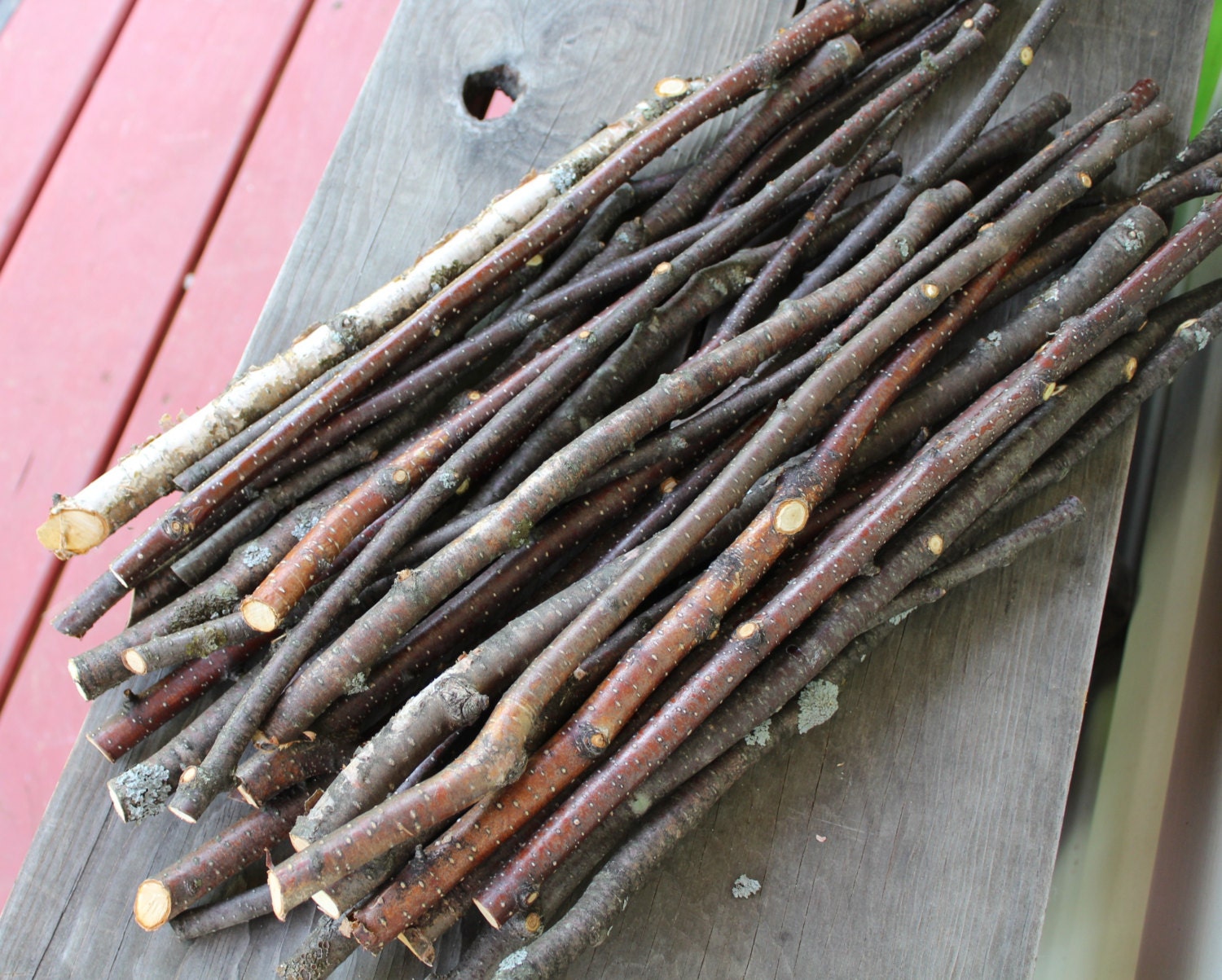 30 Natural Birch Sticks / Rustic Birch Branches / Craft