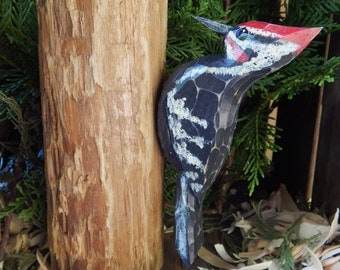 Carved Pileated Woodpecker on Pine Tree