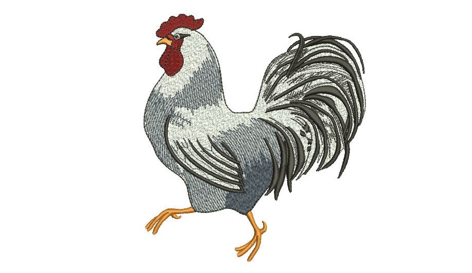 Rooster filled machine embroidery digitized design sybju