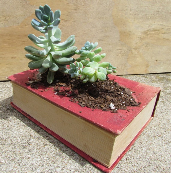 Upcycled Book Planter Box