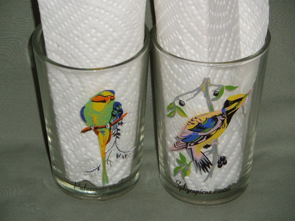 2 Vintage Bird Juice Glasses Tropical Bird Tumblers