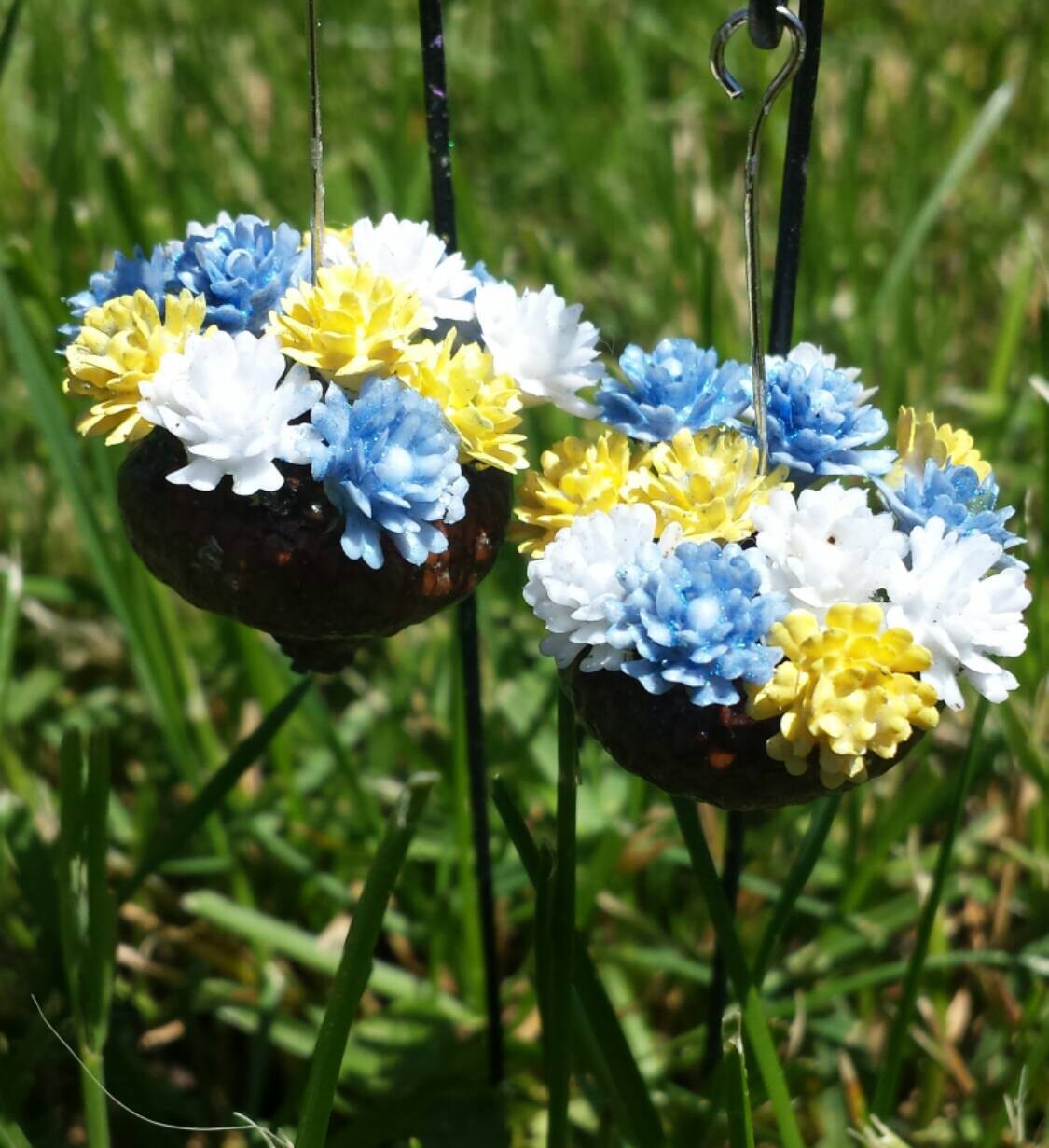 Fairy garden acorn flower planters. Blue white and yellow