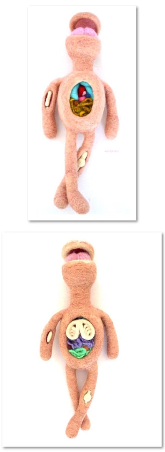 art anatomy doll