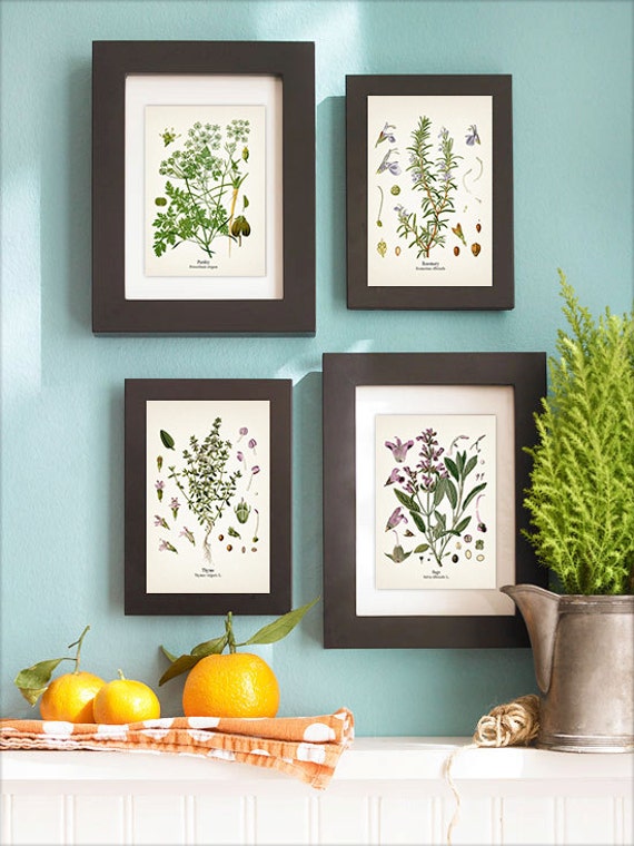 Herbs Vintage Print Kitchen Wall Art Set Rosemary Sage