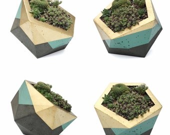 Extra Large Icosahedron Concrete Planter - Gold & Sage (with or without drainage holes)