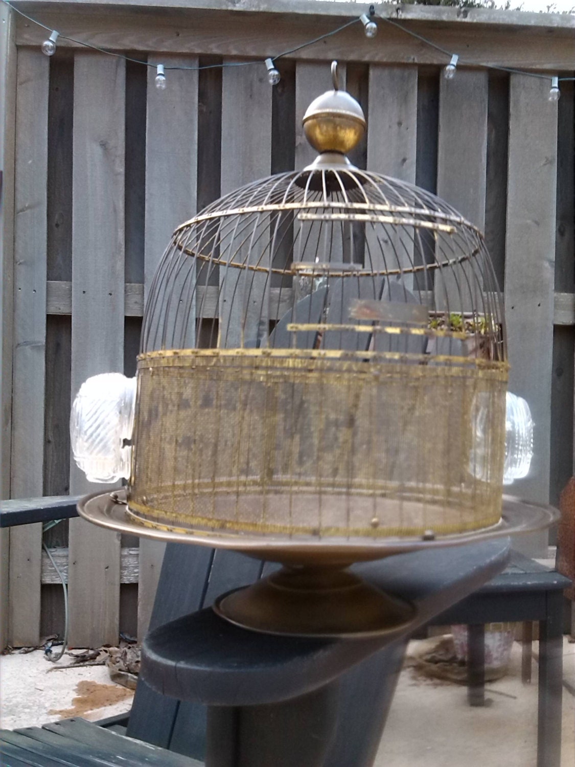 Antique Hendryx brass bird cage glass feeders pedestal by hulshome