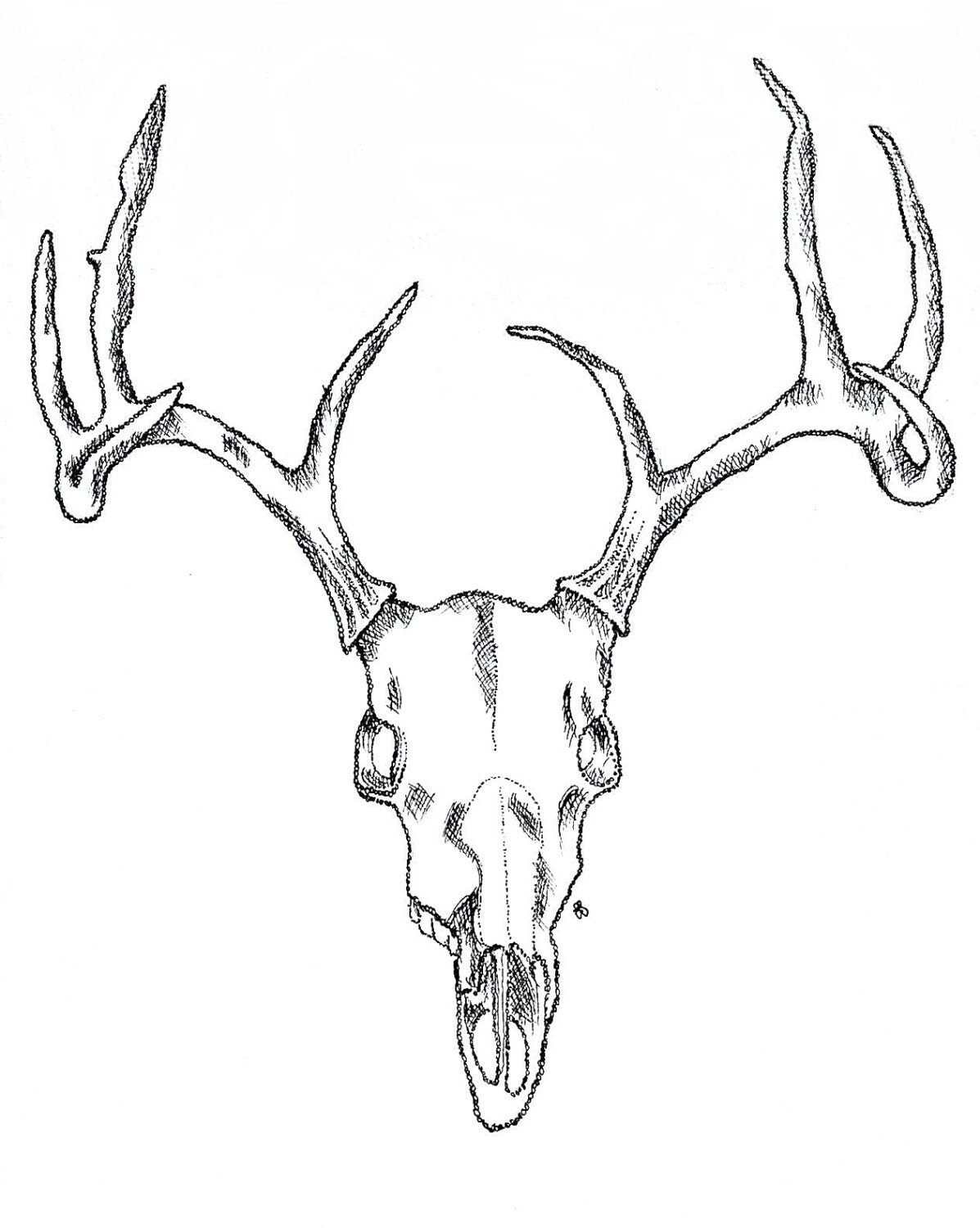 Original Deer Skull Digital Print by TheZodiac on Etsy