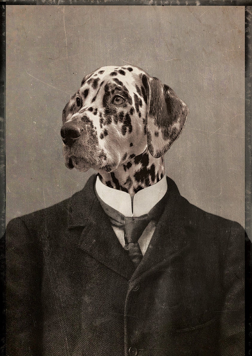 Vintage art print Dalmatian Dog Print Home Decor by Alchemyinc