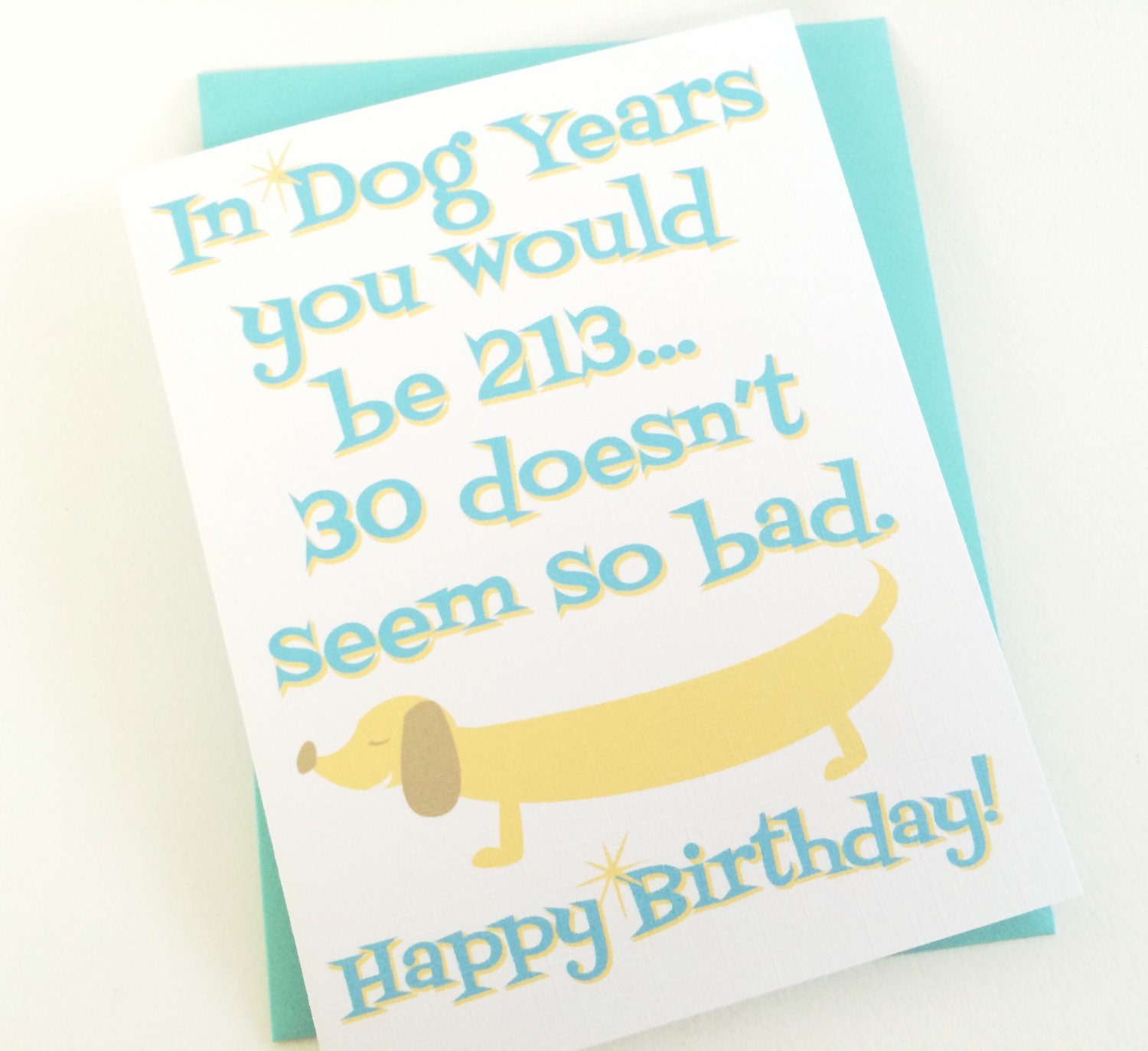 Happy 30th Birthday. In Dog Years. Dog Mom Card. Dog Lover