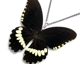 Real Butterfly Wing Necklace / Pendant (WHOLE Papilio Polytes (m) Butterfly - W129)