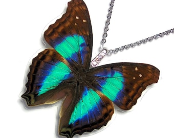 Real Butterfly Wing Necklace / Pendant (WHOLE Iridescent Cherubina Butterfly - W040)