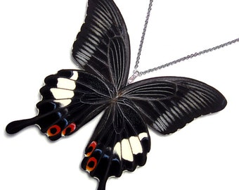Real Butterfly Wing Necklace / Pendant (WHOLE Large Papilio Iswara Butterfly - W087)