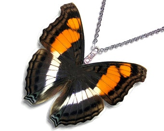 Real Butterfly Wing Necklace / Pendant (WHOLE Doxocopa Laura Butterfly - W067)