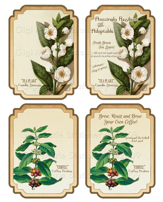 Digital Instant Download Vintage Garden Botanical Labels Tags Coffee