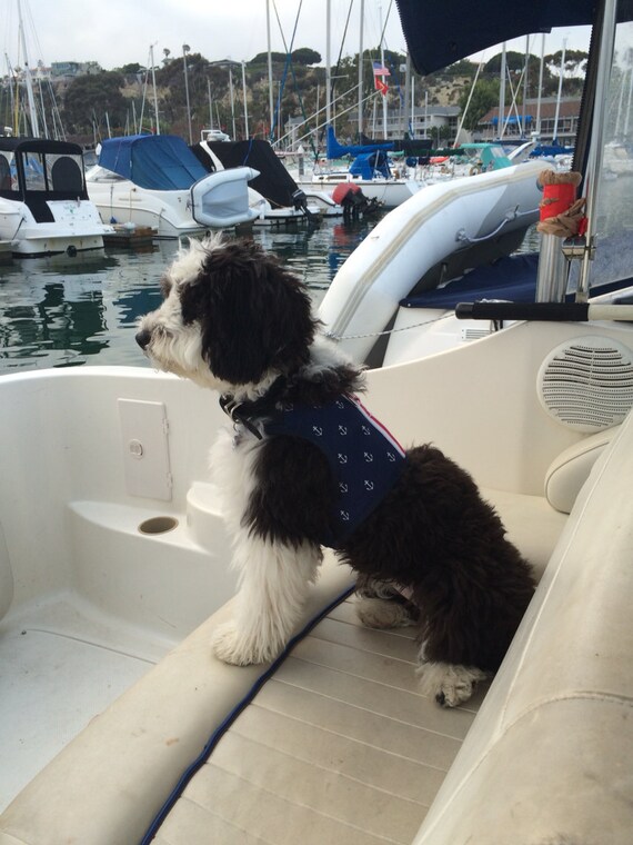 Anchors Away Small Dog Harness Made in USA by CustomDogJacket
