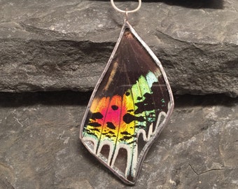 Butterfly jewelry, handmade real butterfly pendant, real butterfly necklace, Real moth jewelry, real moth wing Necklace, sunset moth Pendant